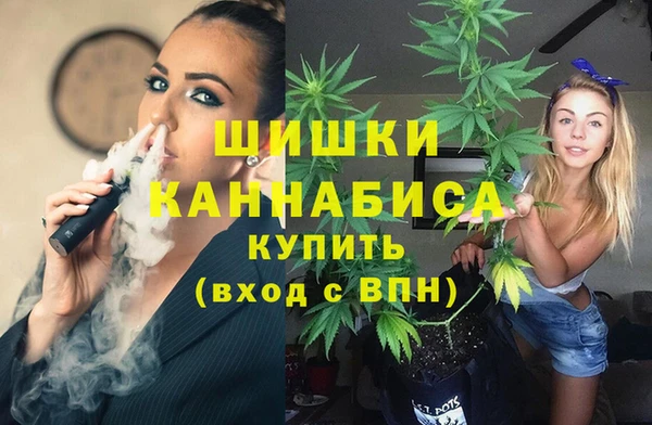 трава Аркадак