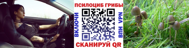 Галлюциногенные грибы MAGIC MUSHROOMS  Сусуман 